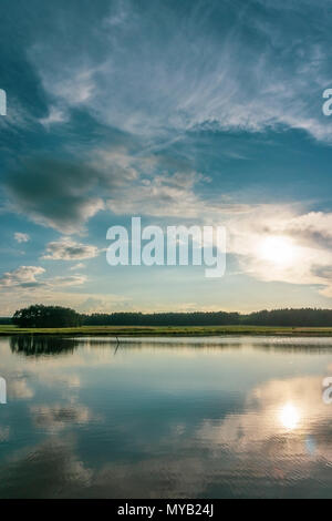 Foto verticale con paesaggio estivo. Piccolo stagno è in primo piano con riflessi blu del cielo della sera piena di nuvole drammatico. Verde prato con alberi è Foto Stock