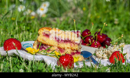 Foto orizzontale con due porzioni di torta di ciliegie. La torta viene collocato sul piattino e su asciugamano bianco. Ciotola piena di altri frutti è accanto alla torta con diversi Foto Stock
