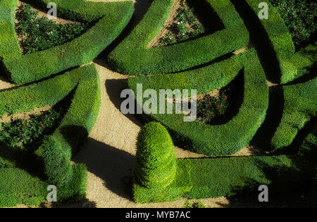 Château de Villandry, giardino di amore, parterre design, sezione che simboleggia il suo amore appassionato, centro, Francia Foto Stock