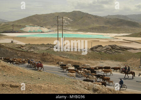 Il kazako nomadi arrotondando il loro bestiame, Keketuohai, Xinjiang, Cina Foto Stock