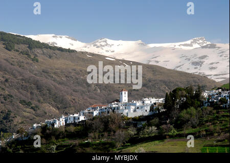 Il villaggio Alpujarran di Capileira in alto alle cime innevate della Sierra Nevada in Spagna in Andalusia. Foto Stock