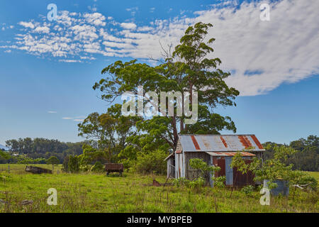 Costruzione di corrigated stagno che sta iniziando a ruggine circondato da alberi di gomma nell'outback Australia Foto Stock