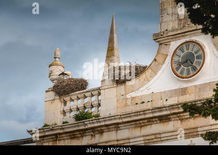 Nido di cicogna costruito sull arco della città di Faro in Portogallo Foto Stock