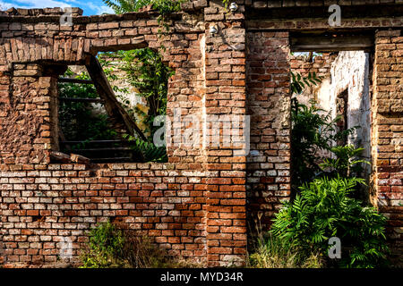 Rovine del vecchio abbandonato casa in mattoni rossi con finestre e porta ed erba verde all'interno. Danneggiato e apocalittico building concept Foto Stock