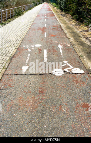 Chiuso e rotture di pista ciclabile con usurati bike simboli in entrambe le direzioni. Una crepa goues da sinistra a destra nella pavimentazione e il colore rosso è barel Foto Stock