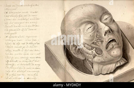 . Inglese: anonimo. [Tise sulla fisionomia. (Paesi Bassi?, ca. 1790)]. La fisiognomica è la scienza della relativa di un singolo carattere, la personalità e il temperamento per la forma del suo viso, testa, e/o corpo. Le teorie dietro di essa torna a Ippocrate, che credevano che le caratteristiche fisiche del corpo umano ha rivelato le caratteristiche della personalità; Aristotele eseguiti studi su come capelli, arti e le caratteristiche facciali di personalità di predizione e di temperamento. Tali teorie fiorì durante tutto il Medioevo e il Rinascimento e la nota di Girolamo Cardano (1501-1576) è stato uno dei suoi principali propon Foto Stock