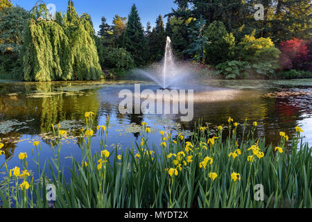 Laghetto con fontana, VanDusen Botanical Garden, Vancouver, British Columbia, Canada. Foto Stock