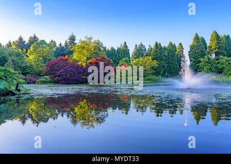 Laghetto con fontana, VanDusen Botanical Garden, Vancouver, British Columbia, Canada. Foto Stock