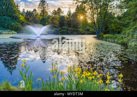 Laghetto con fontana, VanDusen Botanical Garden, Vancouver, British Columbia, Canada. Foto Stock