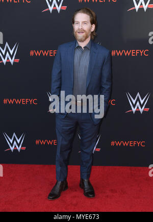 A nord di Hollywood, CA, Stati Uniti d'America. 8 Giugno, 2018. 06 Giugno 2018 - a nord di Hollywood, California - Seth Green. WWE FYC evento tenutosi a Saban Media Center presso la Accademia di televisione. Photo credit: Birdie Thompson/AdMedia Credito: Birdie Thompson/AdMedia/ZUMA filo/Alamy Live News Foto Stock