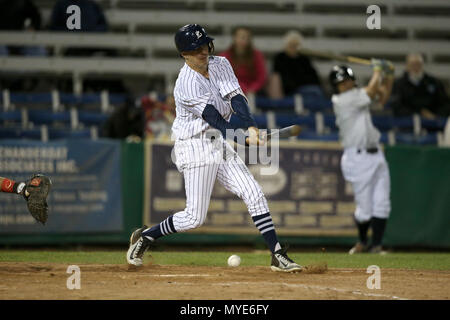 London, Ontario, Canada. Il 6 giugno, 2018. Con uno swing della bat Cleveland brownlee (35) potrebbe legare il tempo tutti gli home run record per il London Majors con 68 regular season homeruns. Oggi Cleveland ha colpito la palla in profondità per la recinzione ma saliti su una parete per una regola di massa doppia. Il London Majors battere Hamilton Cardinali 6-1 al parco Labatt e di estendere la loro winning streak a 6 giochi. Tristan Buntrock (20) di battuta per il London Majors. Luca Durda/Alamy Live news Foto Stock