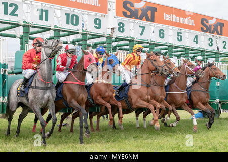 Stoccolma, Svezia./ 6 Giugno, 2018. Ai cavalli da corsa a Nationaldagsgaloppen a velocità elevata a Gardet con erba verde turf. La Svezia Credito: Stefan Holm/Alamy Live News Foto Stock