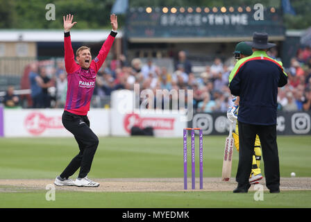 Hove, Regno Unito. Il 7 giugno, 2018. Danny Briggs del Sussex celebra tenendo il paletto di D'Arcy a corto di Australia durante il tour match tra Sussex v Australia al primo centro di County Ground, Hove su 7 giugno, 2018 nel Sussex, Inghilterra. Solo uso editoriale Credito: Paolo Terry foto/Alamy Live News Foto Stock