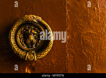 Primo piano di un respingente in ottone a forma di leone sulla porta con un interessante texture, decorazione vintage Foto Stock