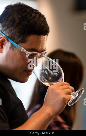 Un uomo campioni l'aroma di un bicchiere di vino in una degustazione di vino. Foto Stock