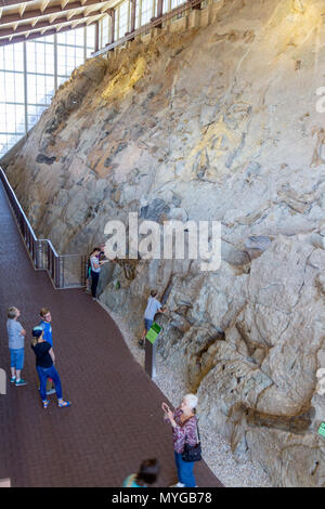 Ai visitatori di ammirare la parete del 1500 fossili di dinosauro alla cava di dinosauro Visitor Center di dinosauro monumento nazionale, Utah. Foto Stock
