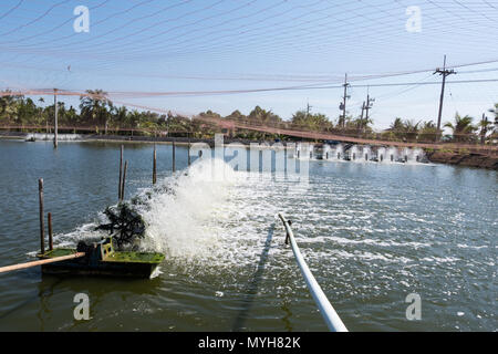 Acqua turbina di aerazione in agricoltura acquatiche. Gamberi e pesce incubatoio business in Thailandia. Foto Stock