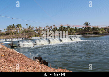 Acqua turbina di aerazione in agricoltura acquatiche. Gamberi e pesce incubatoio business in Thailandia. Foto Stock