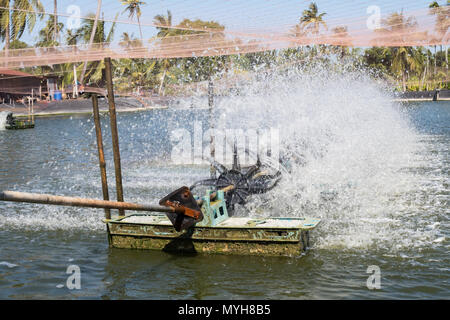 Acqua turbina di aerazione in agricoltura acquatiche. Gamberi e pesce incubatoio business in Thailandia. Foto Stock