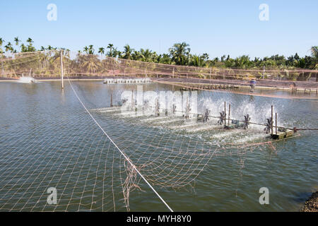 Acqua turbina di aerazione in agricoltura acquatiche. Gamberi e pesce incubatoio business in Thailandia. Foto Stock