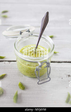 In casa il pesto con i germogli di abete, parmigiano, pinenuts e limone Foto Stock