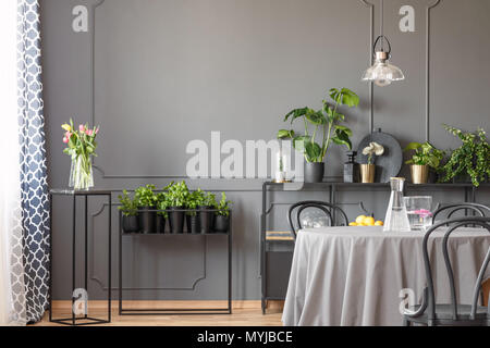 Fiori di colore rosa e piante in grigio sala da pranzo interno con lampada al di sopra di una tavola rotonda. Foto reale Foto Stock