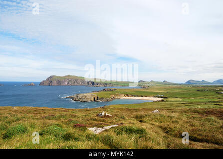 Vista di testa Colgher sulla penisola di Dingle dell Irlanda, Repubblica di Irlanda, Europa Foto Stock