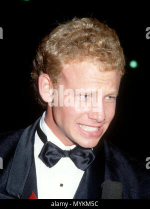 PASADENA, CA - 25 agosto: Attore Ian Ziering assiste la xliii annuale di Primetime Emmy Awards su agosto 25, 1991 a Pasadena Civic Auditorium di Pasadena, in California. Foto di Barry re/Alamy Stock Photo Foto Stock