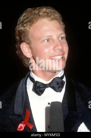 PASADENA, CA - 25 agosto: Attore Ian Ziering assiste la xliii annuale di Primetime Emmy Awards su agosto 25, 1991 a Pasadena Civic Auditorium di Pasadena, in California. Foto di Barry re/Alamy Stock Photo Foto Stock