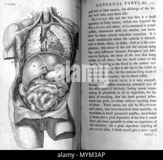. William Cheselden (1688-1752): l'anatomia del corpo umano. Londra: W. Bowyer, 1741. Gennaio 2008. McLeod 108 Cheselden organi interni Foto Stock