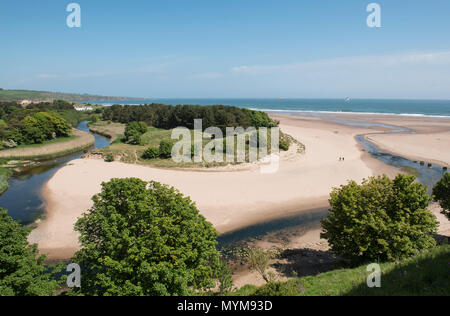 Lunan Bay, Angus, Scozia. La spiaggia che è spesso votato uno dei migliori in Scozia ha la rovina noto come Castello Rosso che si affaccia su di esso. Foto Stock