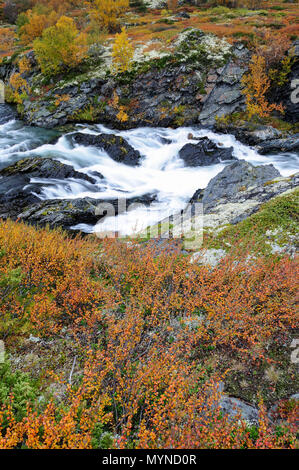 Driva fiume in autunno, dovrefjell, Norvegia Foto Stock