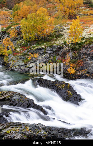 Driva fiume nel paesaggio autunnale, dovrefjell, Norvegia Foto Stock