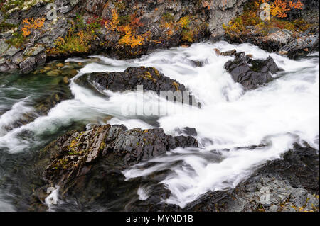 Driva rapids in autunno, dovrefjell, Norvegia Foto Stock
