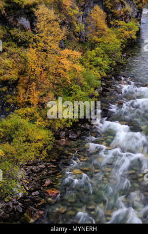 Driva canyon in autunno, dovrefjell nationalpark, Norvegia Foto Stock