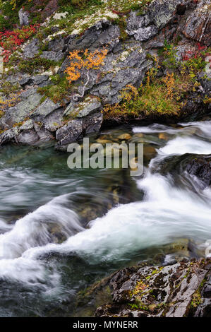 Driva canyon con correnti in autunno, dovrefjell nationalpark, Norvegia Foto Stock