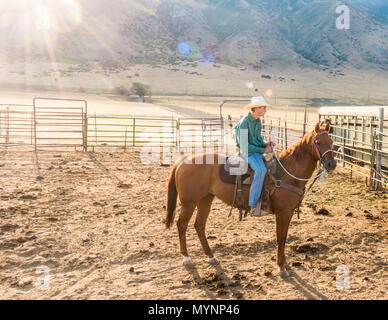 Cowboy a cavallo in attesa in corral Foto Stock