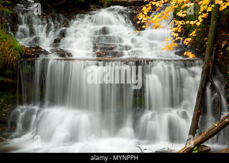 Wagner cade, Wagner cade Scenic Sito, Michigan Foto Stock