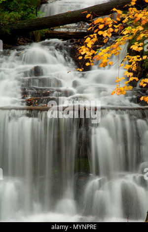 Wagner cade, Wagner cade Scenic Sito, Michigan Foto Stock