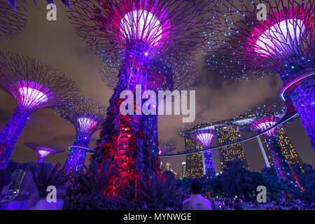 Singapore - Aprile 30, 2018: viola e illuminazione rossa durante la luce e suono mostra su Supertree Grove con Skyway presso i giardini della baia. Le persone godono di th Foto Stock