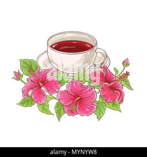 Tazza di tè di ibisco illustrazione su sfondo bianco Illustrazione Vettoriale