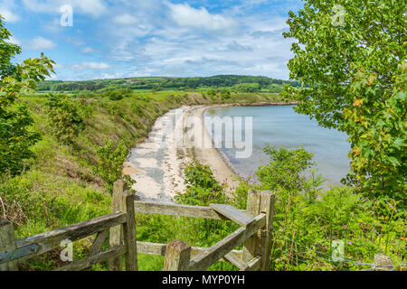 Una vista di Yr Traeth Ora sul Lligwy a Dulas sentiero costiero su Anglesey nel Galles del Nord. Prese su di una bella giornata d'estate nel giugno 2018. Foto Stock