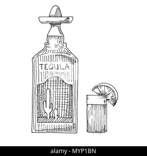 Schizzo di una bottiglia di tequila, bicchieri con una fetta di limone. Illustrazione Vettoriale Illustrazione Vettoriale