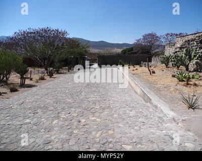 Vista della strada di ciottoli in Mitla città all'importante sito archeologico di zapoteco cultura in stato di Oaxaca in Messico paesaggi con cielo blu chiaro nel 2018 Foto Stock