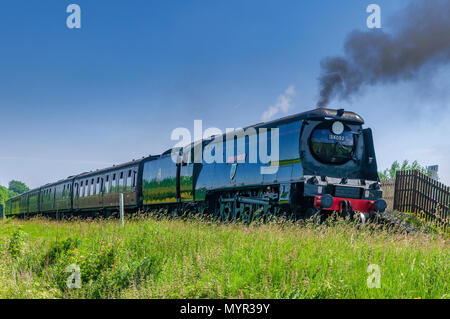 Città di pozzetti locomotiva a vapore le bave Country Park Foto Stock