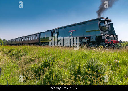 Città di pozzetti locomotiva a vapore le bave Country Park Foto Stock