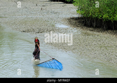 Una donna si ritiene che le catture di gamberetti giovani sul fiume Kholpetua a Gabura vicino Sundarbans. Satkhira, Bangladesh. Foto Stock