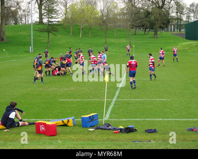 Club partita di rugby in posizione di parcheggio Foto Stock