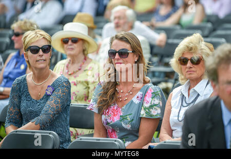 Southampton SUSSEX REGNO UNITO 8 Giugno 2018 - folla godetevi il tempo soleggiato a sud dell'Inghilterra spettacolo presso il Southampton Showground vicino a Haywards Heath Sussex Fotografia di Simon DackCredit: Simon Dack/Alamy Live News Foto Stock