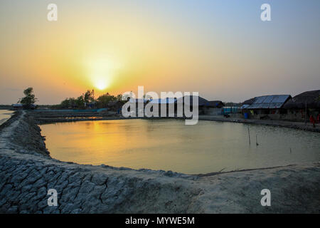 Vista di un arido floodplain a Gabura unione in Shyamnagar Upajila sotto Satkhira distretto del Bangladesh. Il ciclone Aila allagato questo settore nel 2009, t Foto Stock